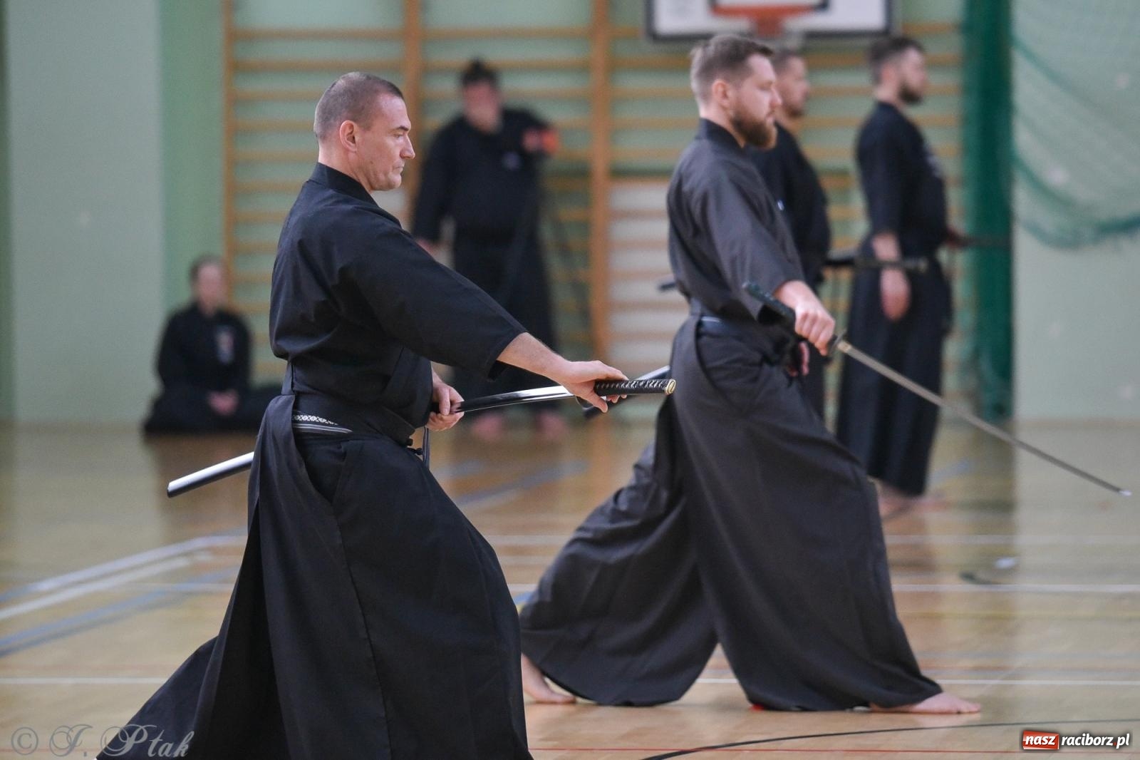Zdjęcie w galerii na portalu naszraciborz.pl: W Raciborzu trwają Otwarte Mistrzostwa Polski Iaido 2024 [FOTO i WIDEO] wiadomości z regionu