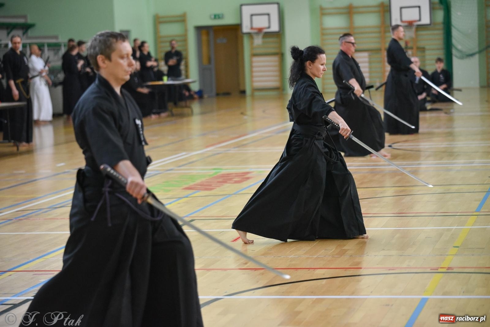 Zdjęcie w galerii na portalu naszraciborz.pl: W Raciborzu trwają Otwarte Mistrzostwa Polski Iaido 2024 [FOTO i WIDEO] wiadomości z regionu