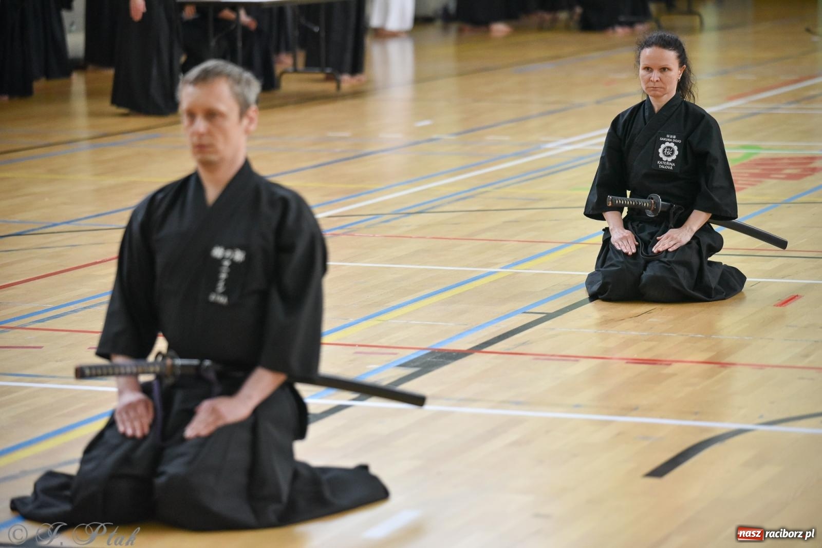 Zdjęcie w galerii na portalu naszraciborz.pl: W Raciborzu trwają Otwarte Mistrzostwa Polski Iaido 2024 [FOTO i WIDEO] wiadomości z regionu