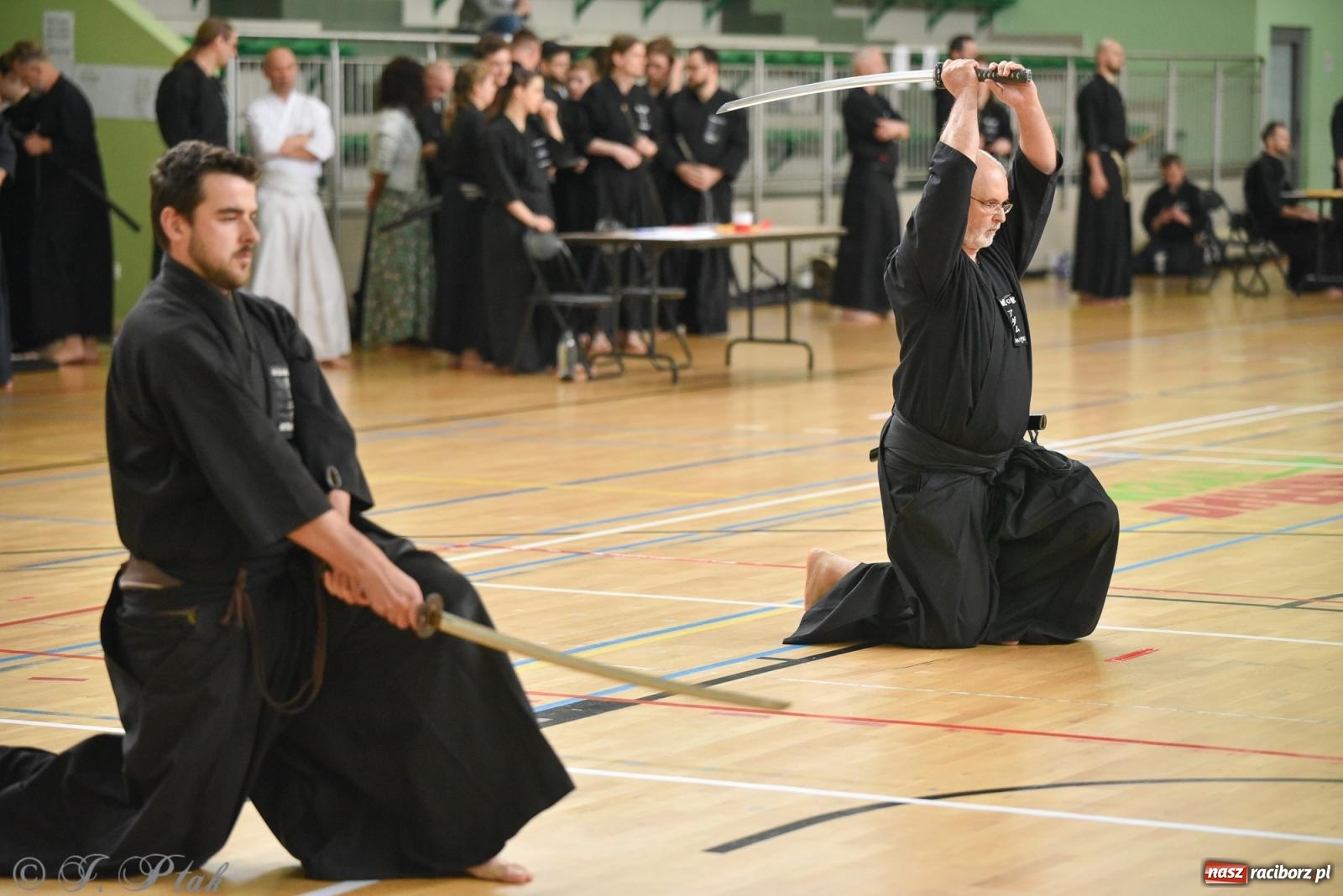 Zdjęcie w galerii na portalu naszraciborz.pl: W Raciborzu trwają Otwarte Mistrzostwa Polski Iaido 2024 [FOTO i WIDEO] wiadomości z regionu