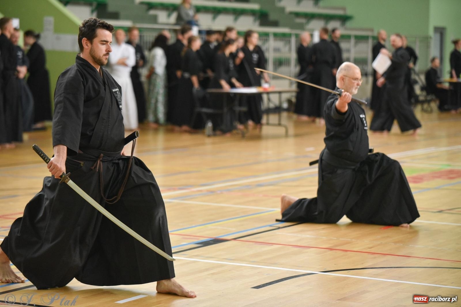 Zdjęcie w galerii na portalu naszraciborz.pl: W Raciborzu trwają Otwarte Mistrzostwa Polski Iaido 2024 [FOTO i WIDEO] wiadomości z regionu