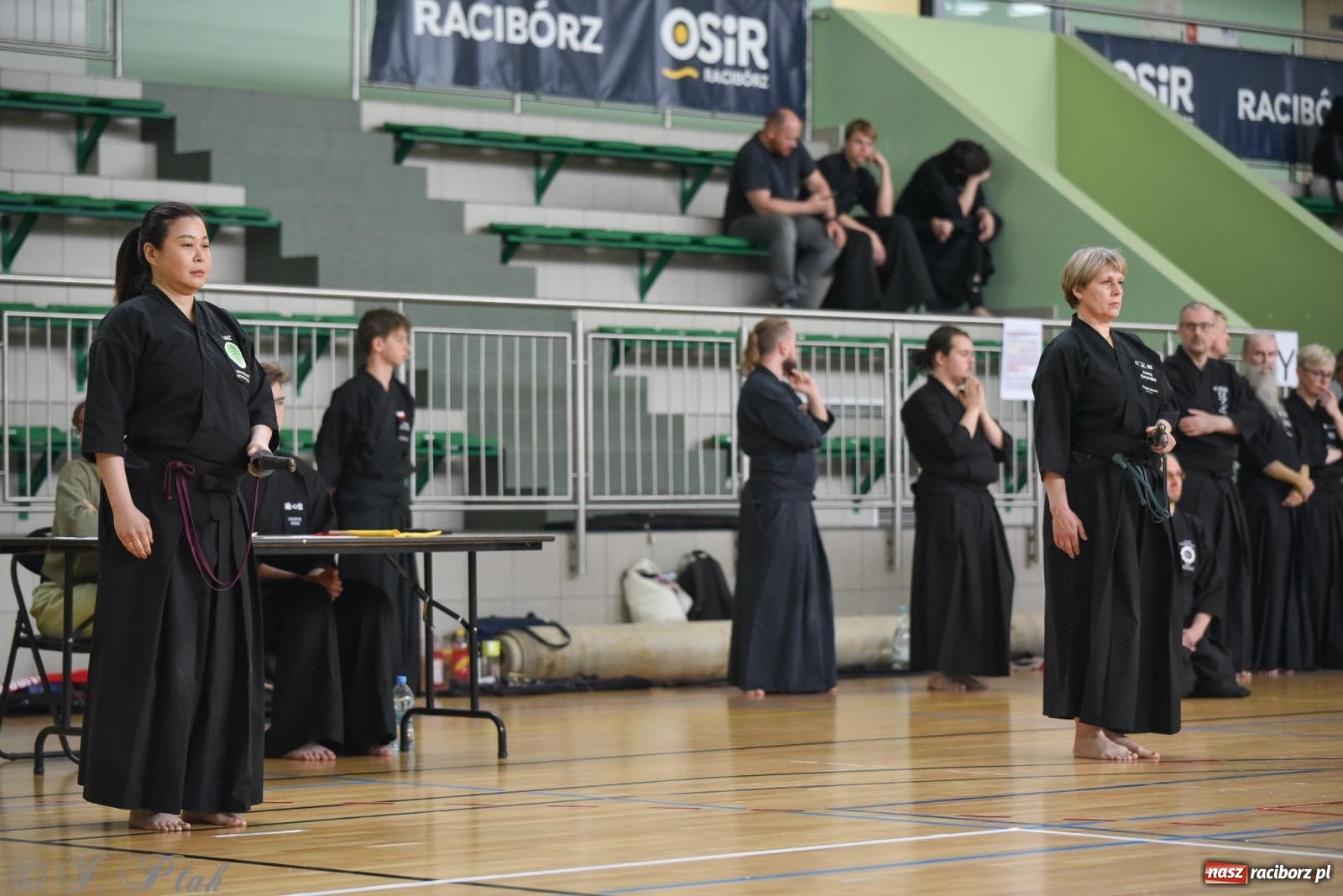 Zdjęcie w galerii na portalu naszraciborz.pl: W Raciborzu trwają Otwarte Mistrzostwa Polski Iaido 2024 [FOTO i WIDEO] wiadomości z regionu