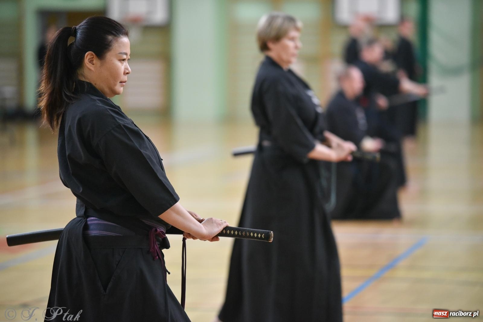 Zdjęcie w galerii na portalu naszraciborz.pl: W Raciborzu trwają Otwarte Mistrzostwa Polski Iaido 2024 [FOTO i WIDEO] wiadomości z regionu