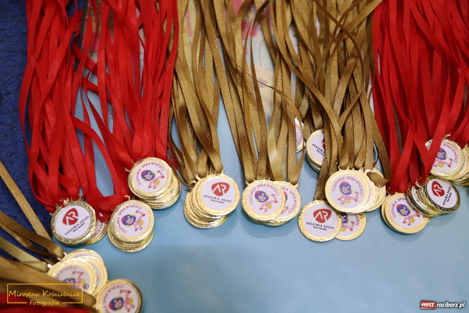 Zdjęcie w galerii na portalu naszraciborz.pl: Wyzwanie dla Młodych Atletów. Raciborski Test Sprawności z Justyną Święty-Ersetic wiadomości z regionu