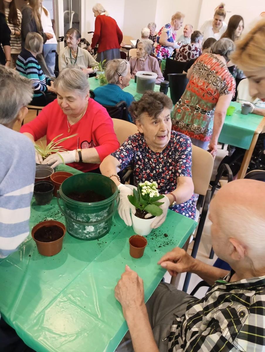 Zdjęcie w galerii na portalu naszraciborz.pl: Uczniowie Piętnastki na Warsztatach Sadzenia Kwiatów w Złotej Jesieni wiadomości z regionu