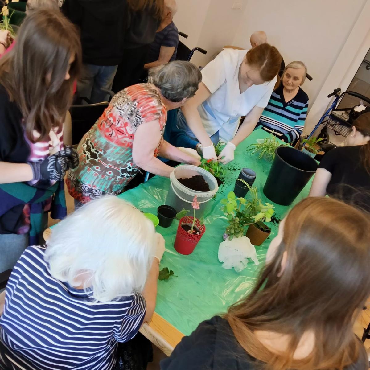 Zdjęcie w galerii na portalu naszraciborz.pl: Uczniowie Piętnastki na Warsztatach Sadzenia Kwiatów w Złotej Jesieni wiadomości z regionu