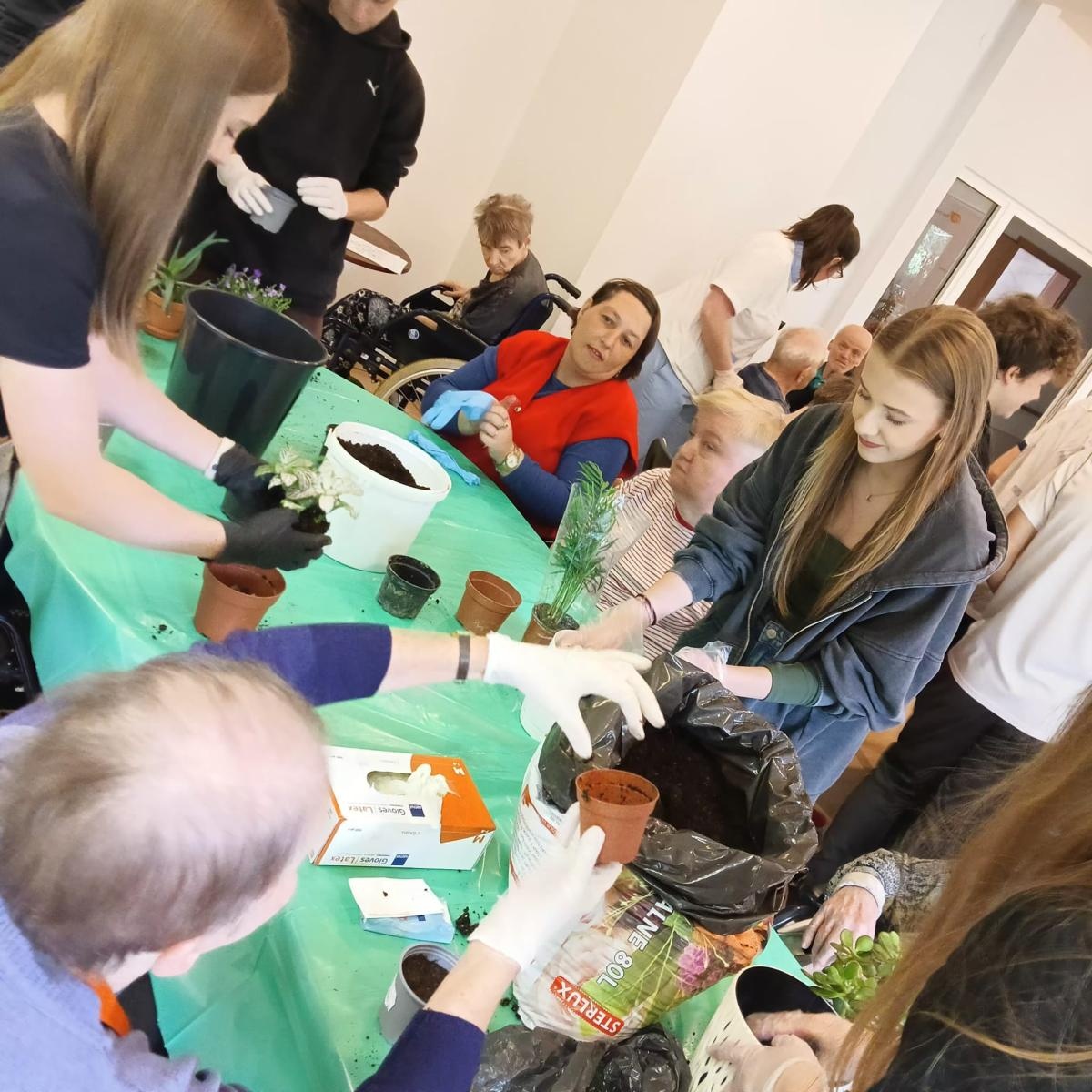 Zdjęcie w galerii na portalu naszraciborz.pl: Uczniowie Piętnastki na Warsztatach Sadzenia Kwiatów w Złotej Jesieni wiadomości z regionu