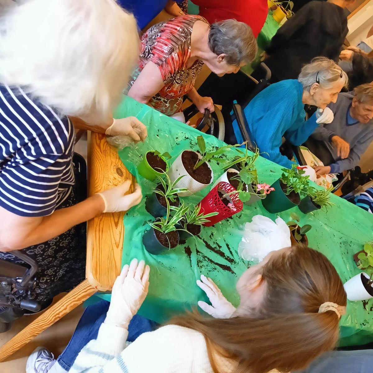 Zdjęcie w galerii na portalu naszraciborz.pl: Uczniowie Piętnastki na Warsztatach Sadzenia Kwiatów w Złotej Jesieni wiadomości z regionu