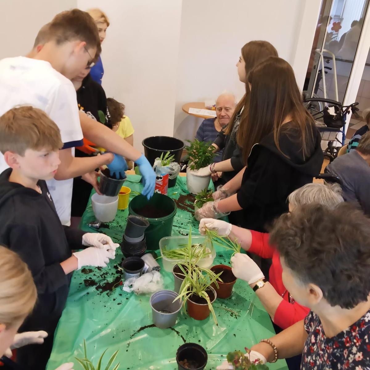 Zdjęcie w galerii na portalu naszraciborz.pl: Uczniowie Piętnastki na Warsztatach Sadzenia Kwiatów w Złotej Jesieni wiadomości z regionu