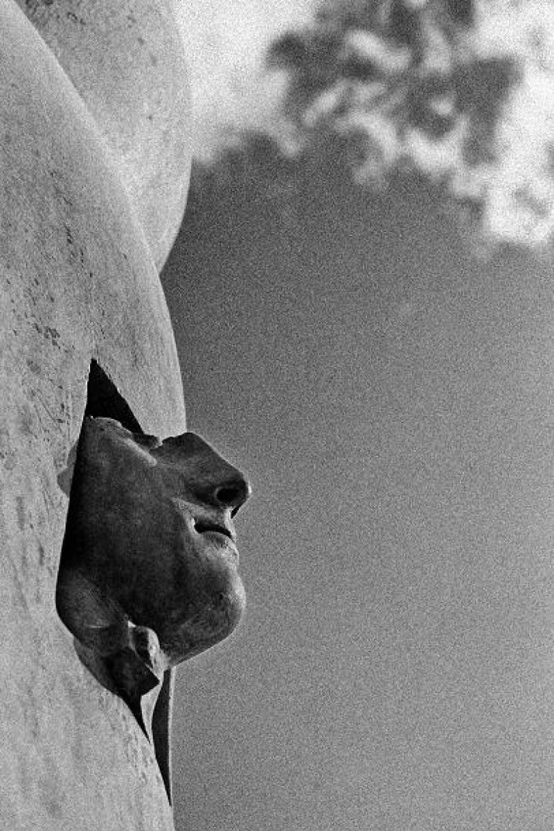 Zdjęcie w galerii na portalu naszraciborz.pl: GCK w Nędzy zaprasza. Mitoraj w Krakowie wiadomości z regionu