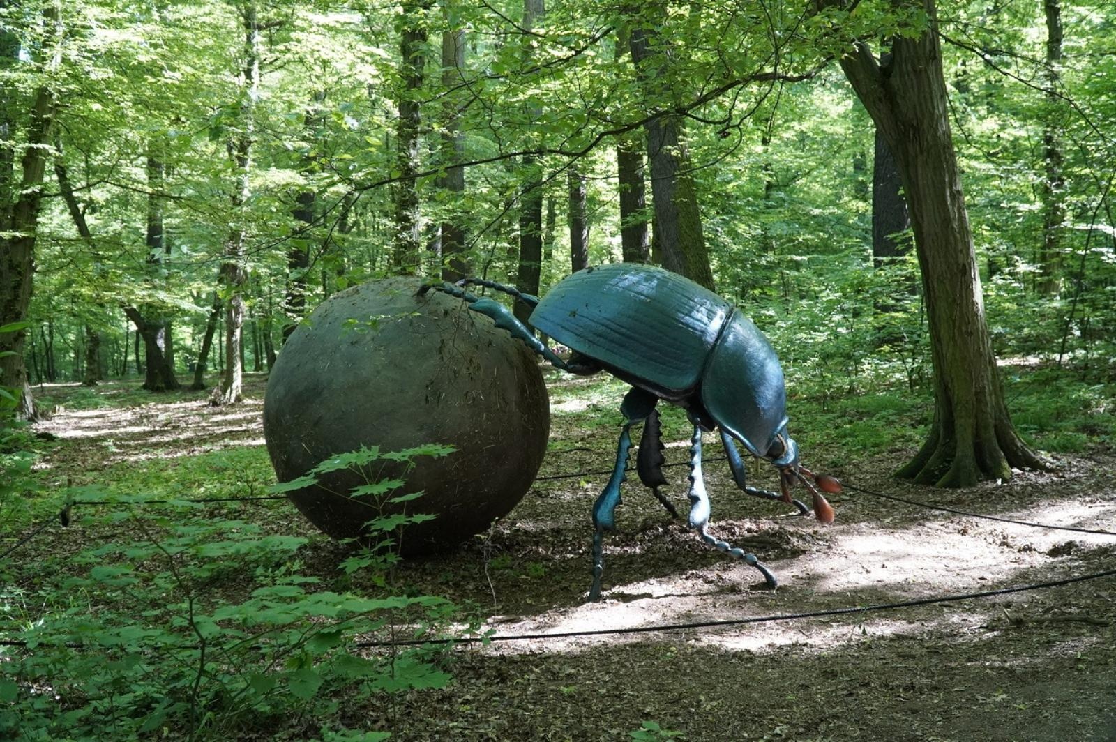 Zdjęcie w galerii na portalu naszraciborz.pl: Szkolny zespół antysmogowy odwiedził raciborskie Arboretum wiadomości z regionu