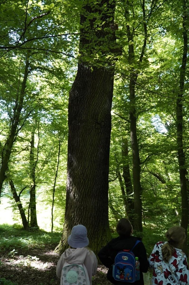 Zdjęcie w galerii na portalu naszraciborz.pl: Szkolny zespół antysmogowy odwiedził raciborskie Arboretum wiadomości z regionu