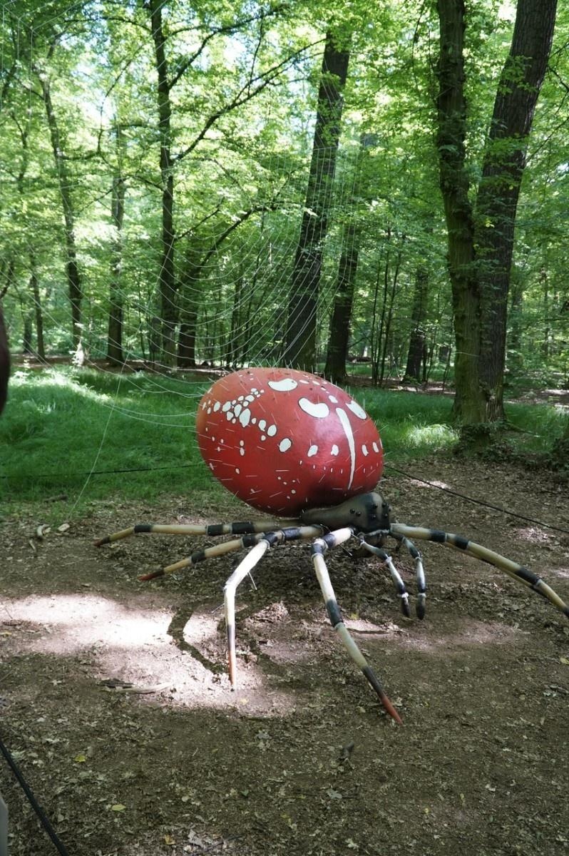 Zdjęcie w galerii na portalu naszraciborz.pl: Szkolny zespół antysmogowy odwiedził raciborskie Arboretum wiadomości z regionu