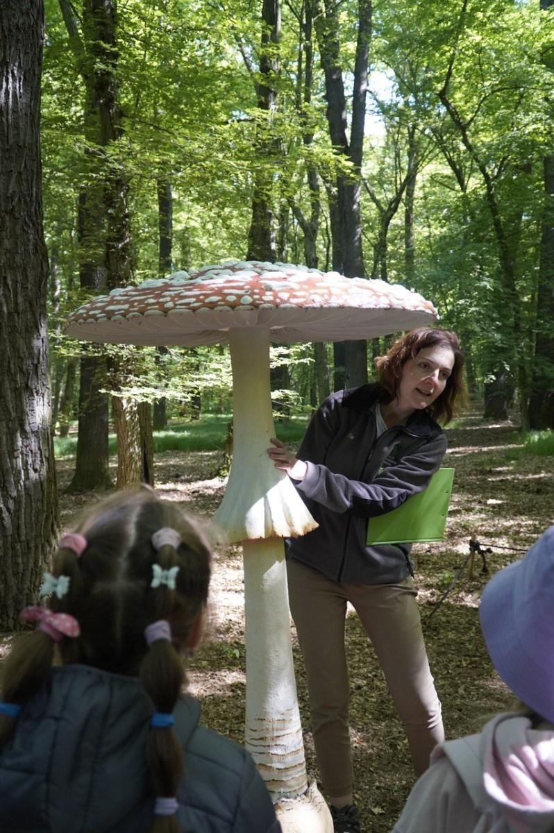 Zdjęcie w galerii na portalu naszraciborz.pl: Szkolny zespół antysmogowy odwiedził raciborskie Arboretum wiadomości z regionu