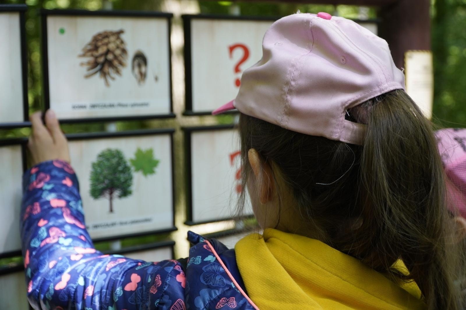 Zdjęcie w galerii na portalu naszraciborz.pl: Szkolny zespół antysmogowy odwiedził raciborskie Arboretum wiadomości z regionu