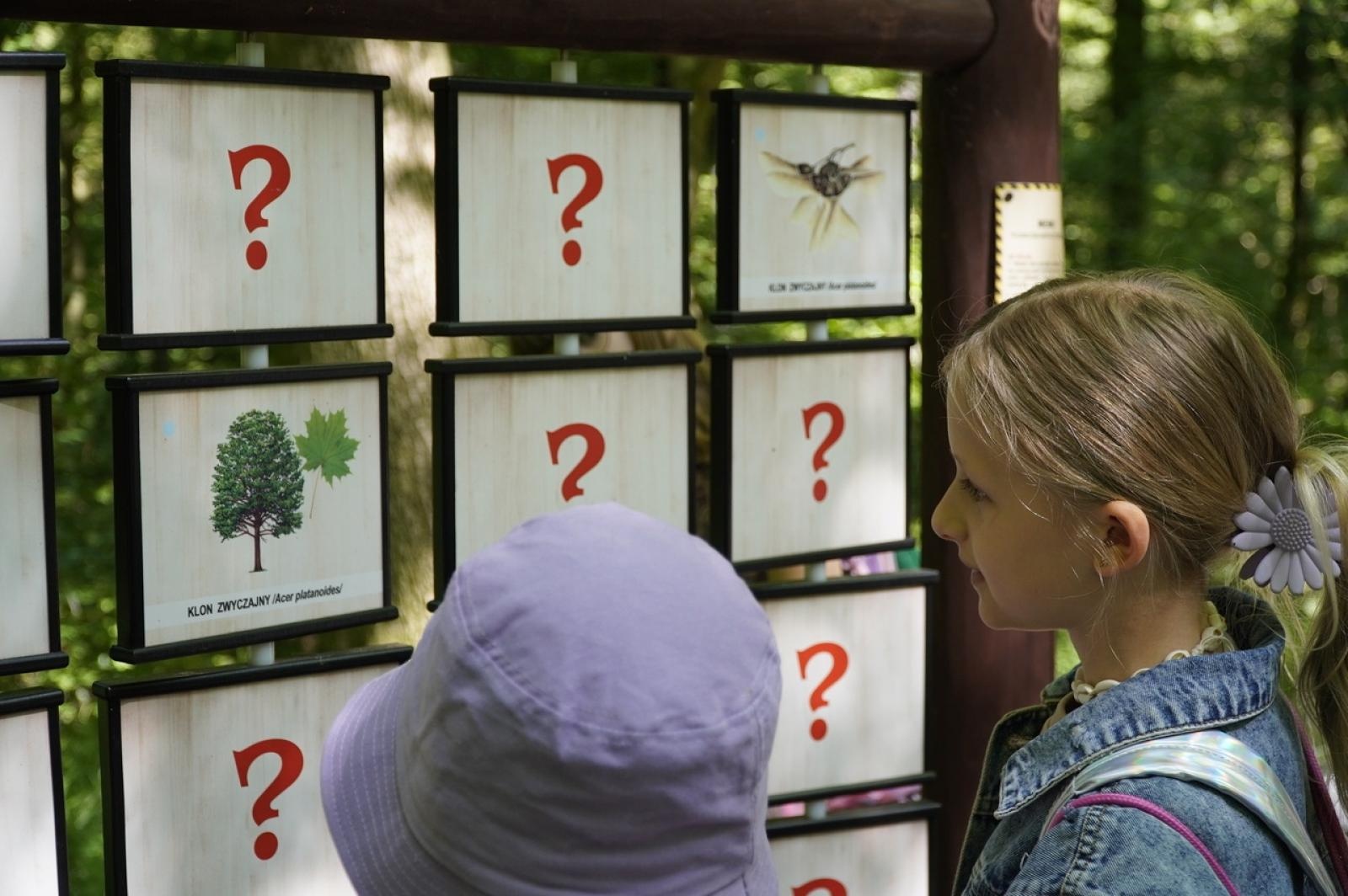 Zdjęcie w galerii na portalu naszraciborz.pl: Szkolny zespół antysmogowy odwiedził raciborskie Arboretum wiadomości z regionu