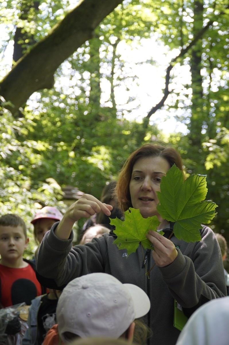 Zdjęcie w galerii na portalu naszraciborz.pl: Szkolny zespół antysmogowy odwiedził raciborskie Arboretum wiadomości z regionu