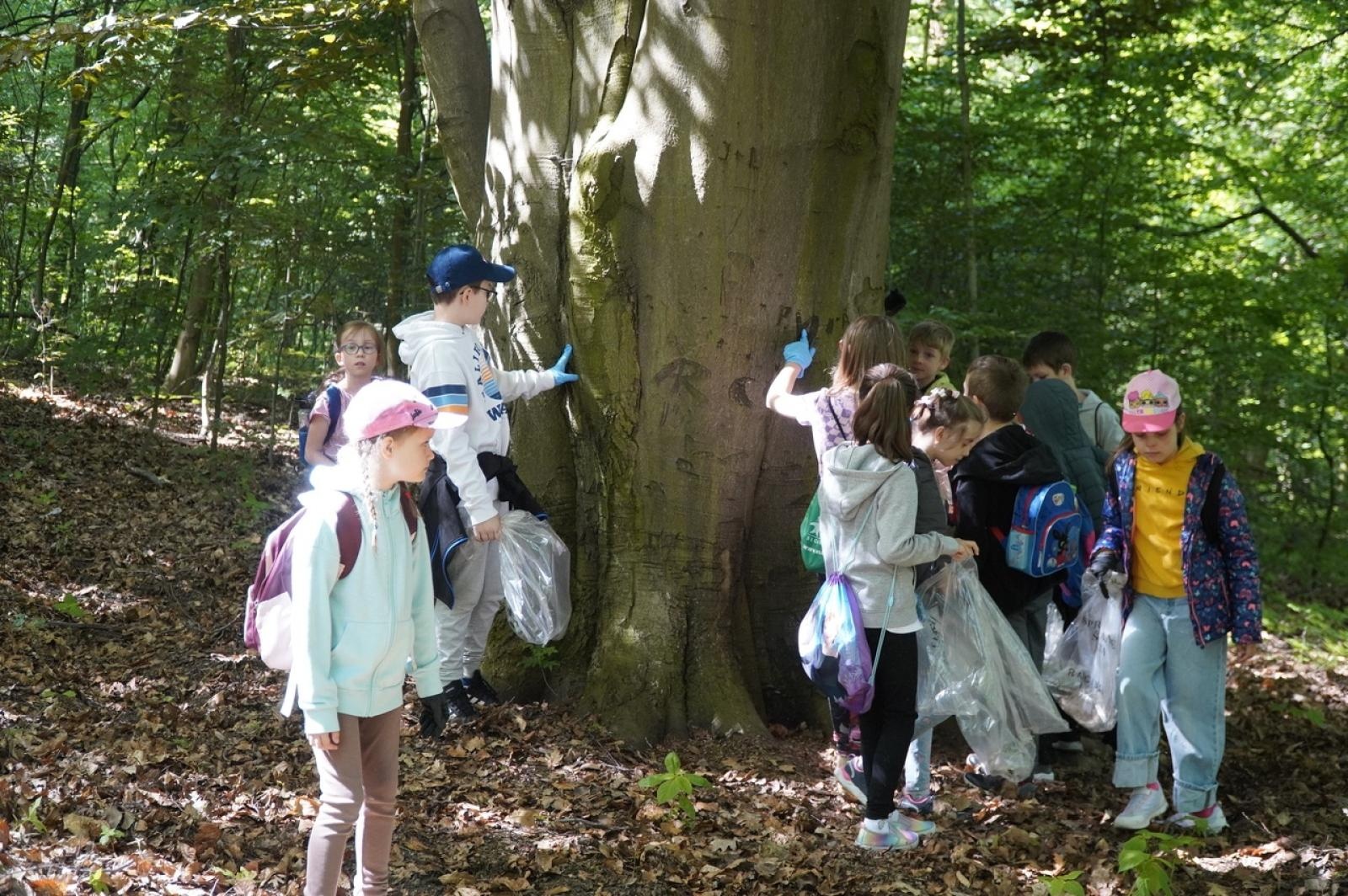 Zdjęcie w galerii na portalu naszraciborz.pl: Szkolny zespół antysmogowy odwiedził raciborskie Arboretum wiadomości z regionu