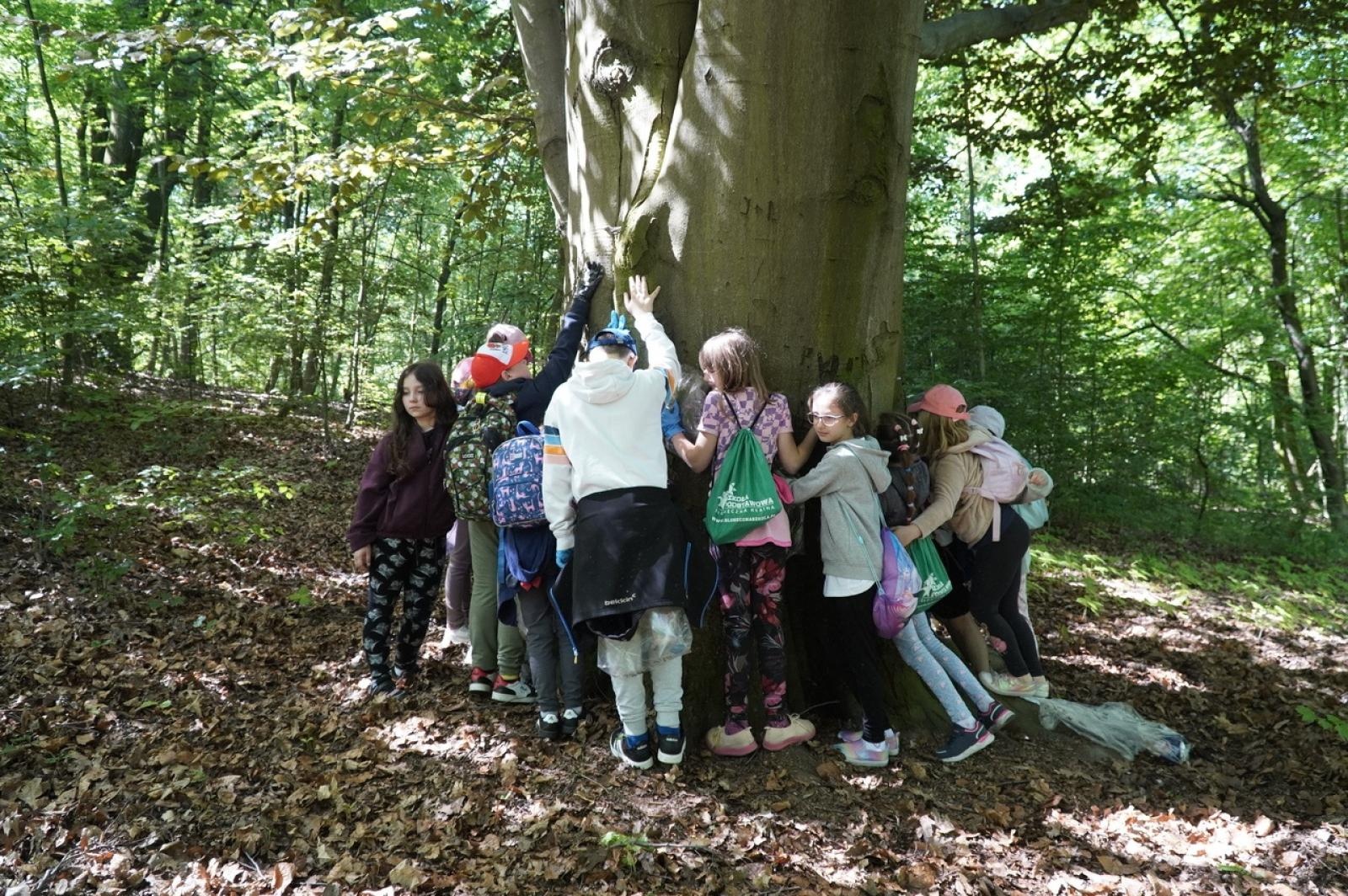 Zdjęcie w galerii na portalu naszraciborz.pl: Szkolny zespół antysmogowy odwiedził raciborskie Arboretum wiadomości z regionu