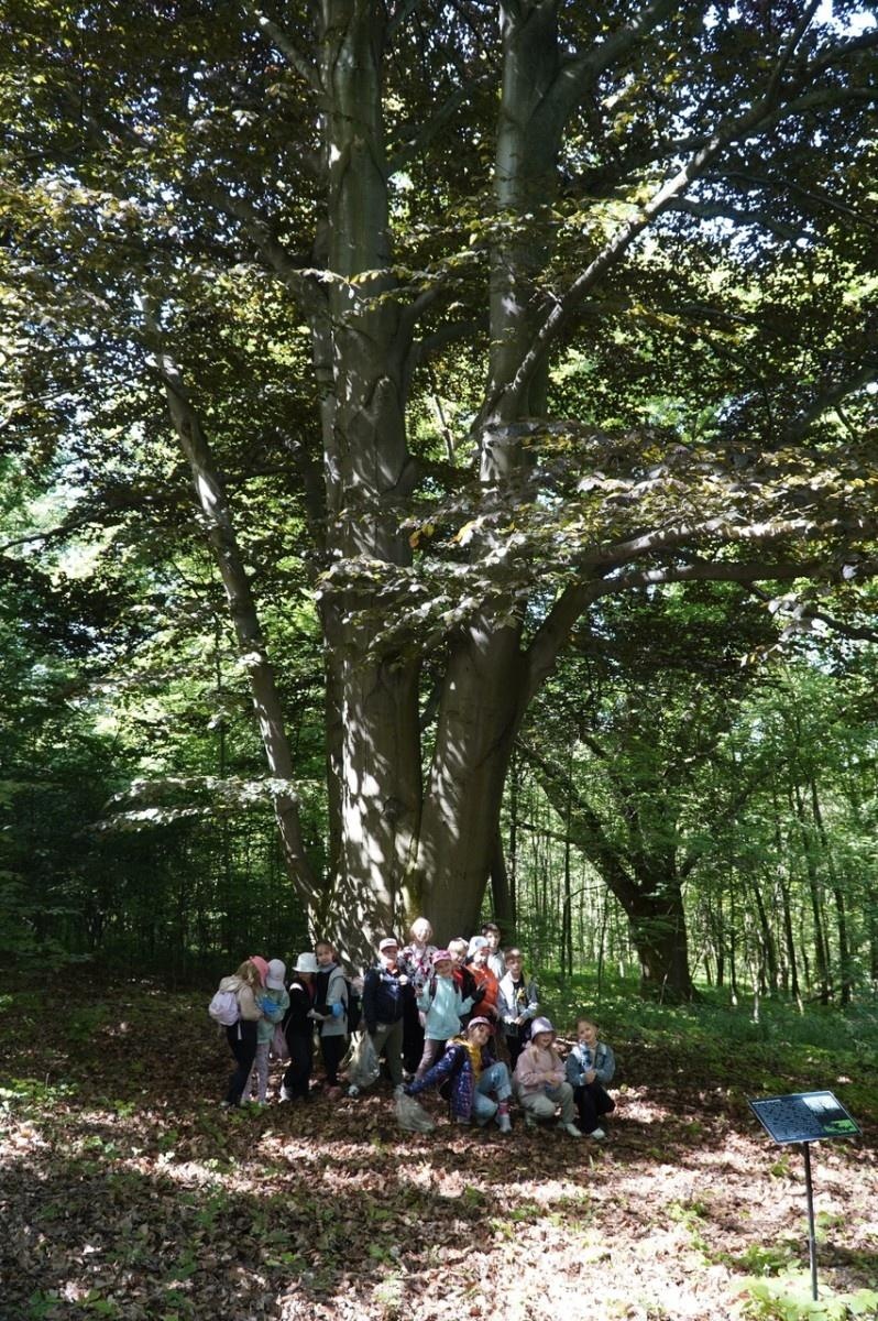 Zdjęcie w galerii na portalu naszraciborz.pl: Szkolny zespół antysmogowy odwiedził raciborskie Arboretum wiadomości z regionu