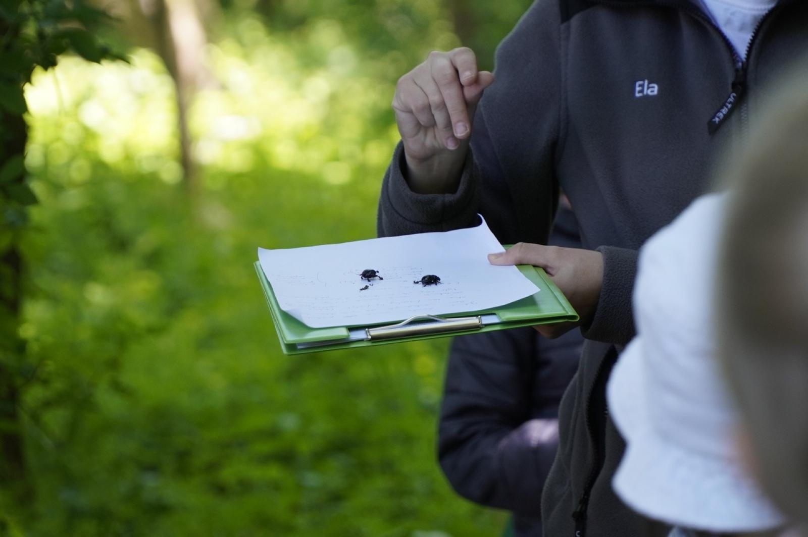 Zdjęcie w galerii na portalu naszraciborz.pl: Szkolny zespół antysmogowy odwiedził raciborskie Arboretum wiadomości z regionu