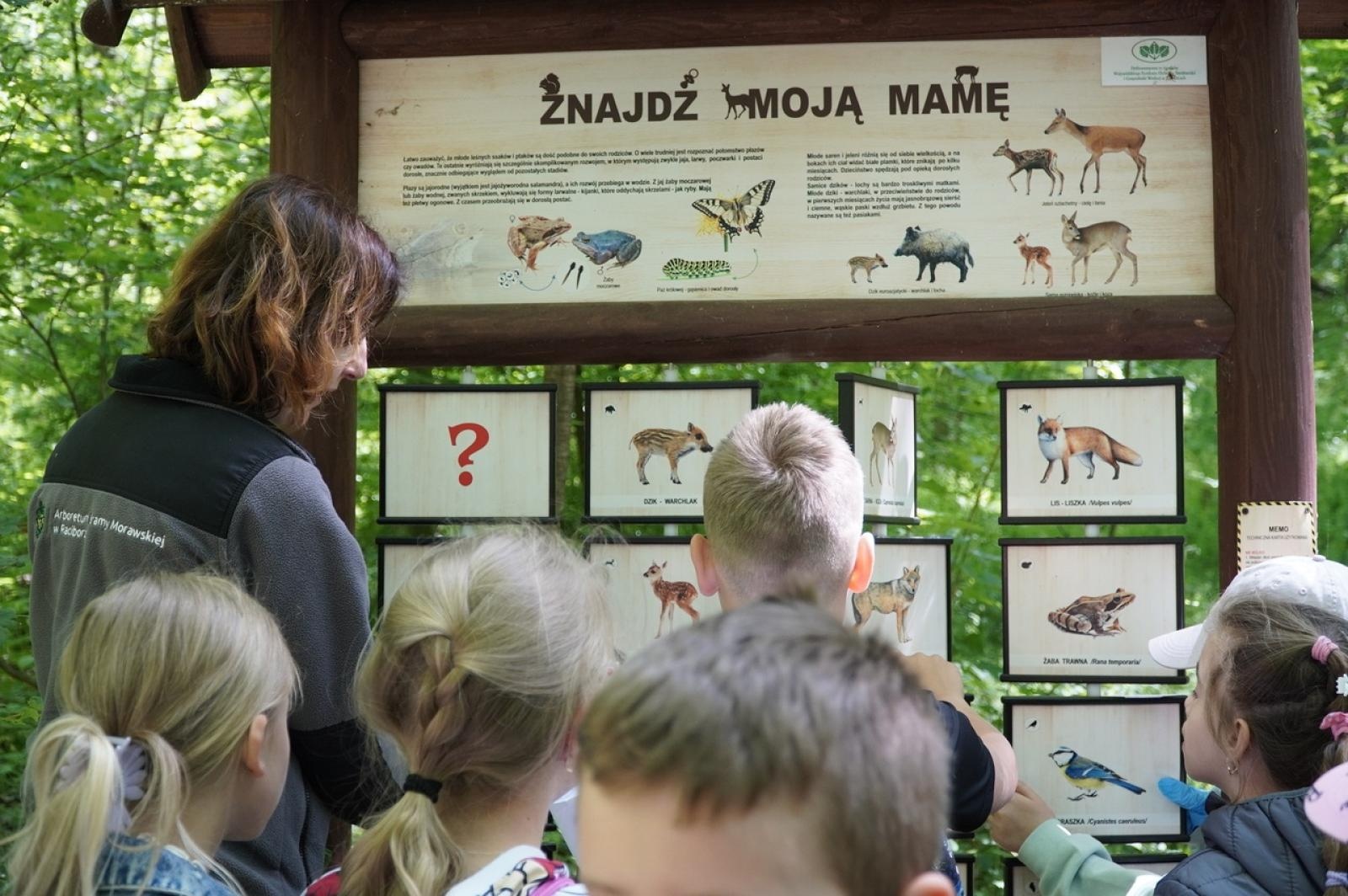 Zdjęcie w galerii na portalu naszraciborz.pl: Szkolny zespół antysmogowy odwiedził raciborskie Arboretum wiadomości z regionu