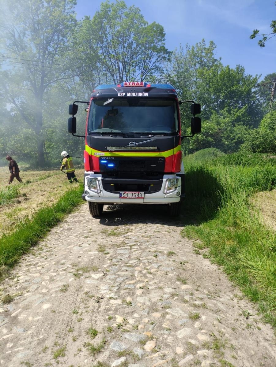 Zdjęcie w galerii na portalu naszraciborz.pl: W Dolędzinie paliła się trawa. To było podpalenie wiadomości z regionu
