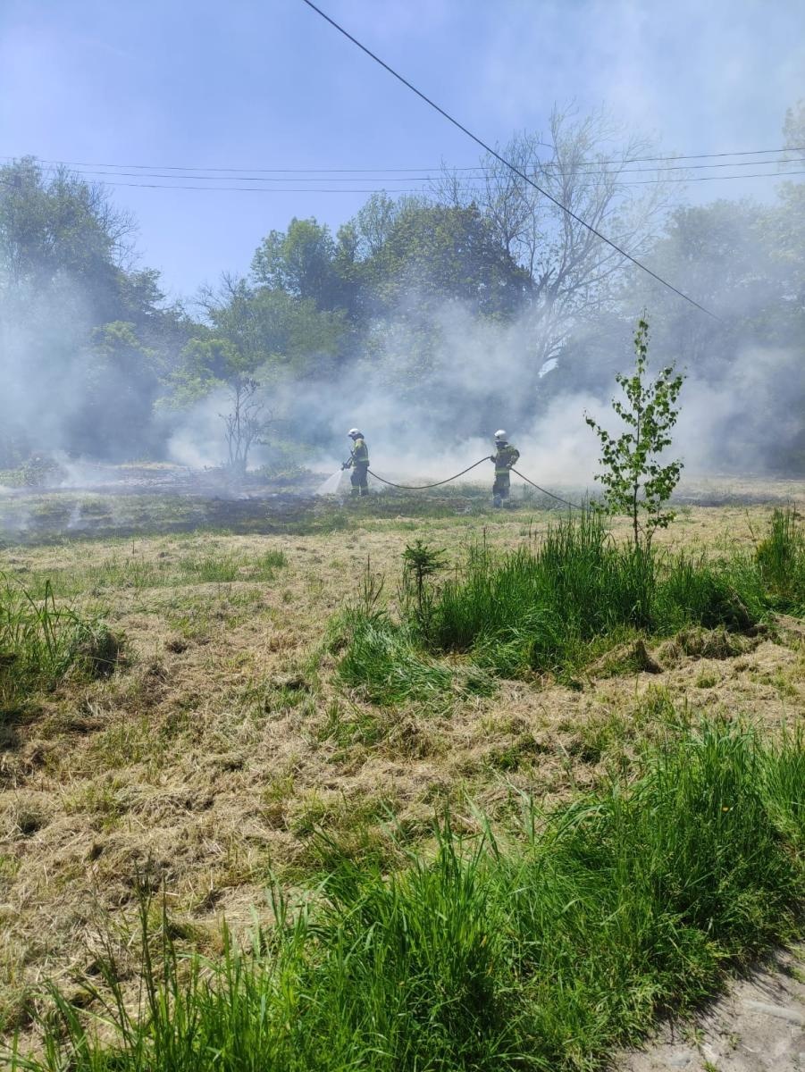 Zdjęcie w galerii na portalu naszraciborz.pl: W Dolędzinie paliła się trawa. To było podpalenie wiadomości z regionu