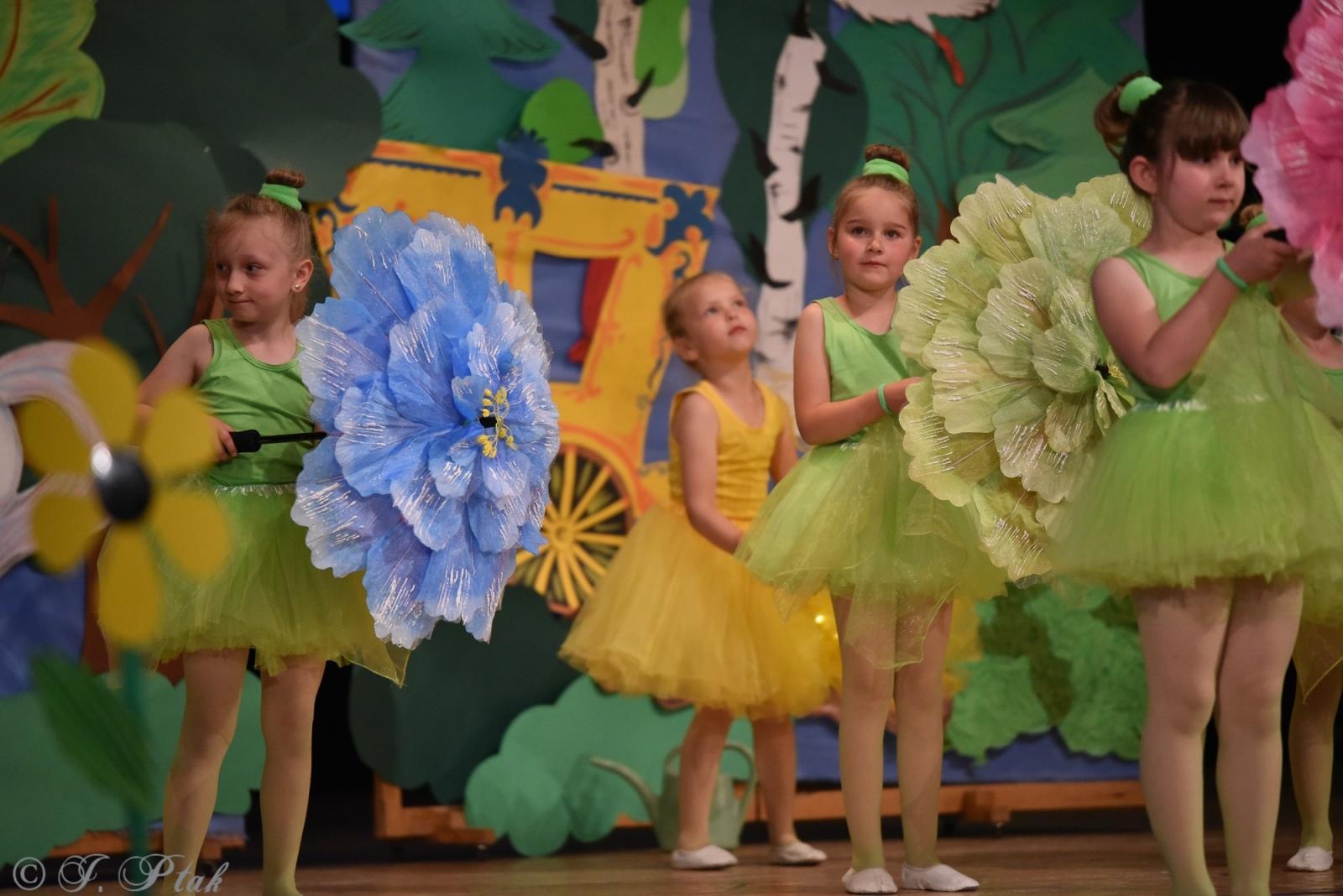 Zdjęcie w galerii na portalu naszraciborz.pl: Gala XIV Mini Festiwalu Przedszkolaków [FOTO i WIDEO] wiadomości z regionu