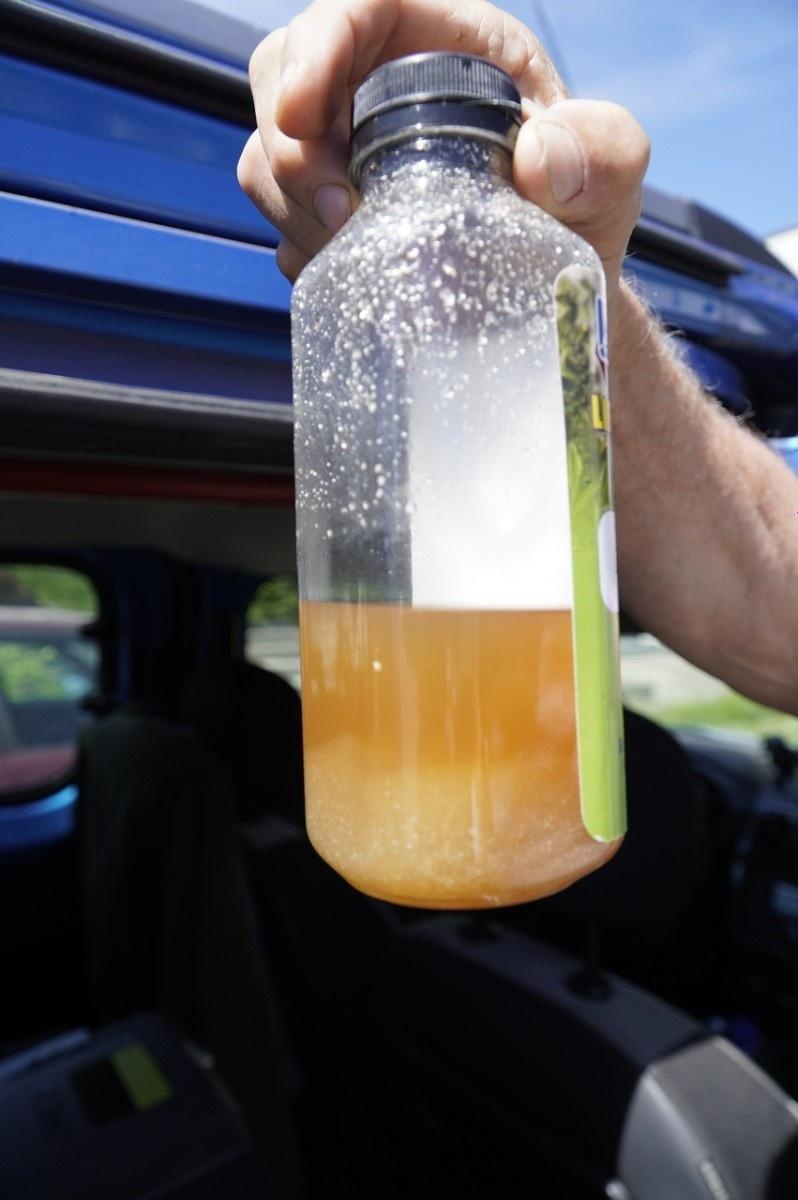 Zdjęcie w galerii na portalu naszraciborz.pl: Grzyby mikoryzowe wzmocnią raciborskie głogi wiadomości z regionu