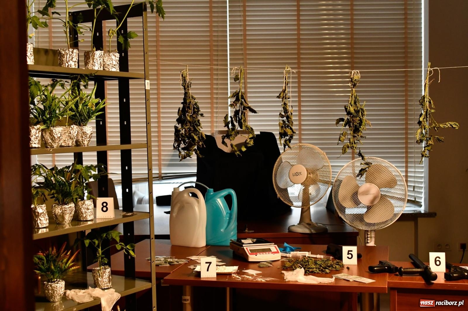 Zdjęcie w galerii na portalu naszraciborz.pl: Sprawa Rity Gorgonowej na wokandzie, czyli III Noc Muzeów w raciborskim sądzie wiadomości z regionu