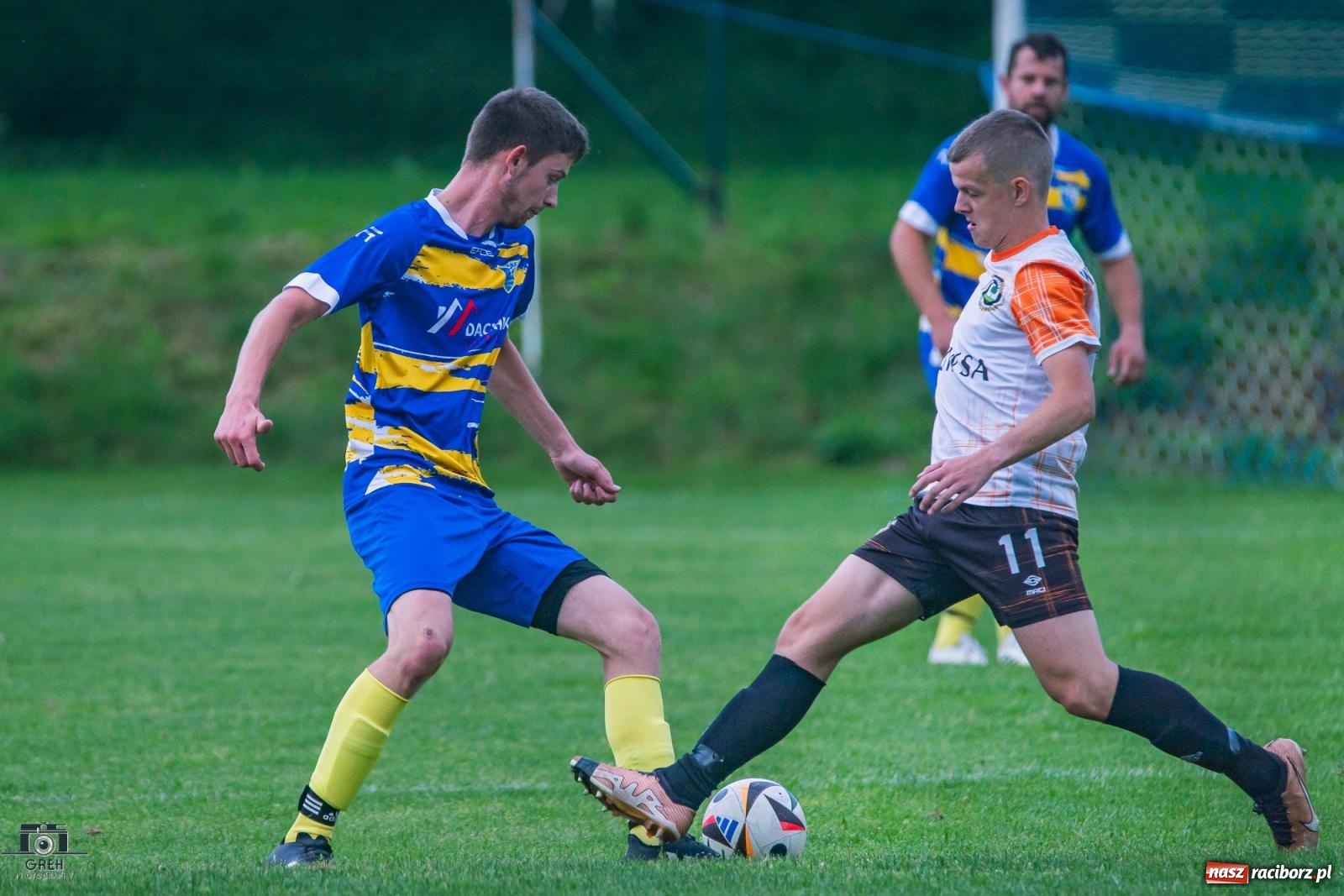 Zdjęcie w galerii na portalu naszraciborz.pl: Gamów – Buków: Strzelił Wilczek razy kilka [FOTO i WIDEO] wiadomości z regionu