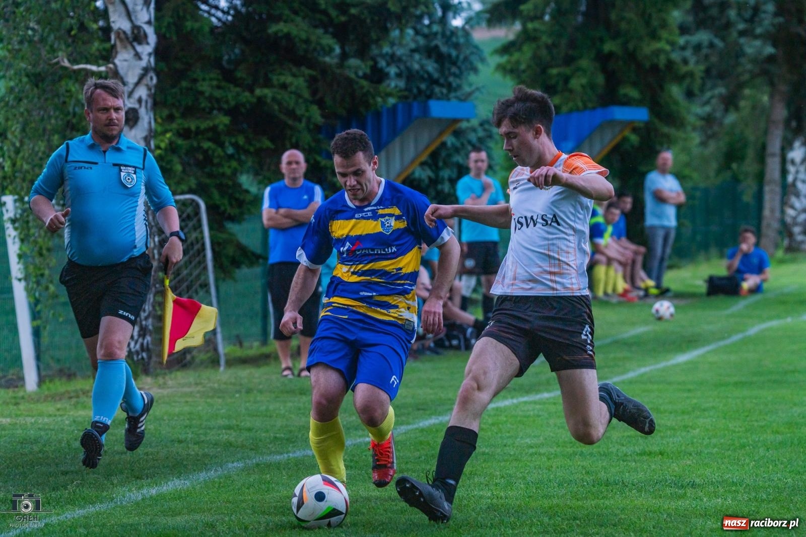 Zdjęcie w galerii na portalu naszraciborz.pl: Gamów – Buków: Strzelił Wilczek razy kilka [FOTO i WIDEO] wiadomości z regionu