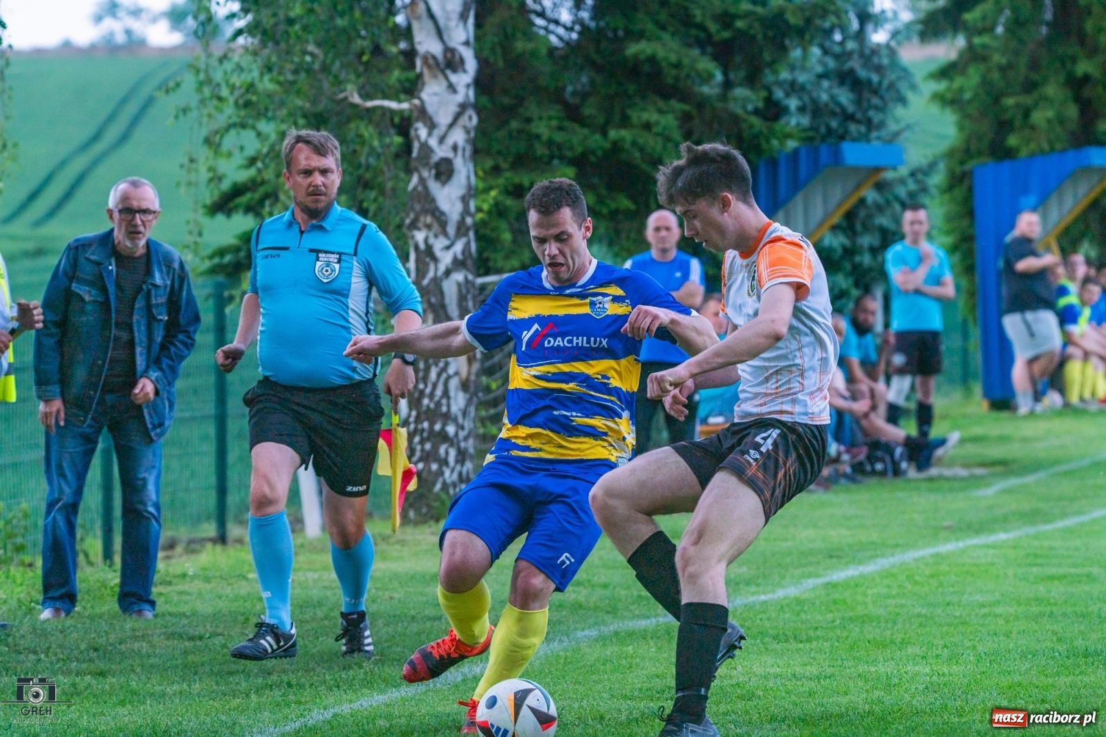 Zdjęcie w galerii na portalu naszraciborz.pl: Gamów – Buków: Strzelił Wilczek razy kilka [FOTO i WIDEO] wiadomości z regionu