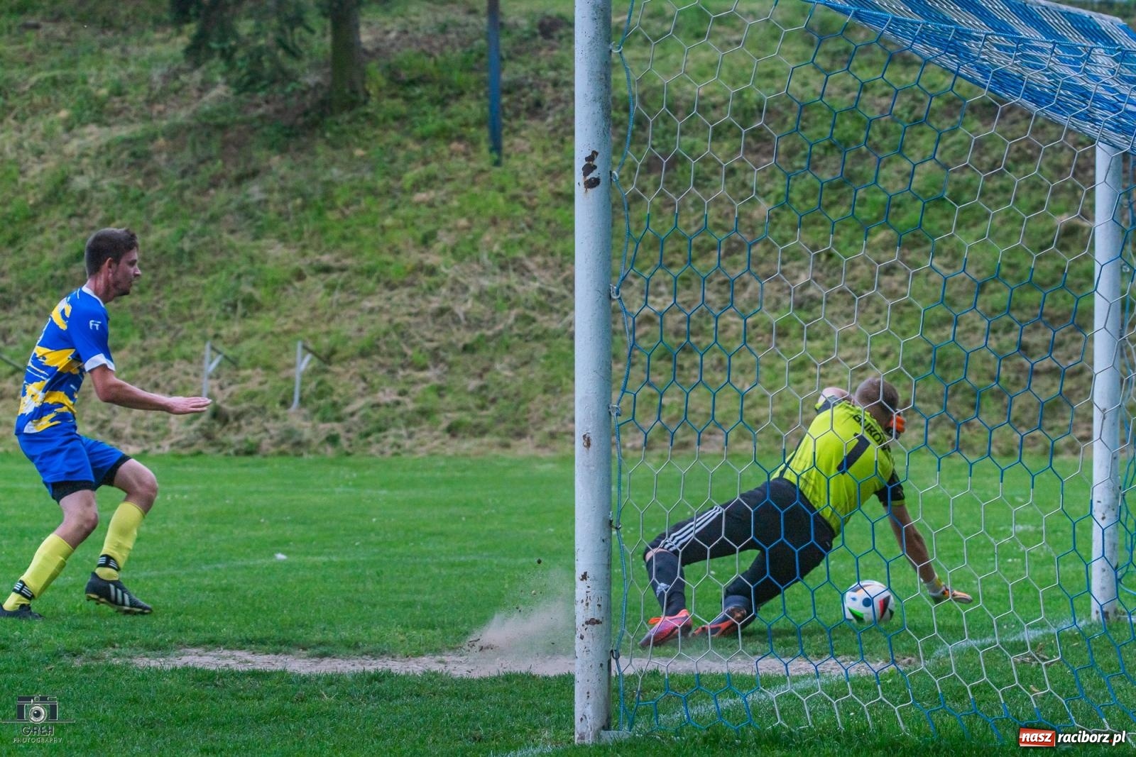 Zdjęcie w galerii na portalu naszraciborz.pl: Gamów – Buków: Strzelił Wilczek razy kilka [FOTO i WIDEO] wiadomości z regionu