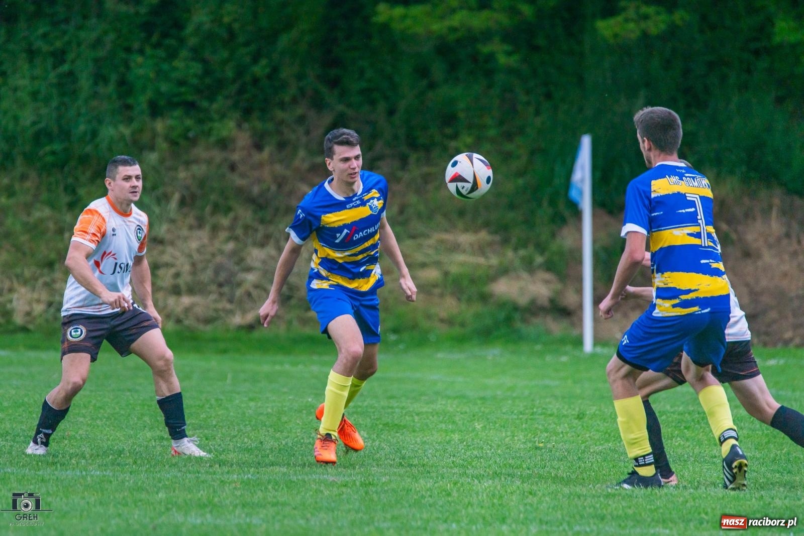 Zdjęcie w galerii na portalu naszraciborz.pl: Gamów – Buków: Strzelił Wilczek razy kilka [FOTO i WIDEO] wiadomości z regionu