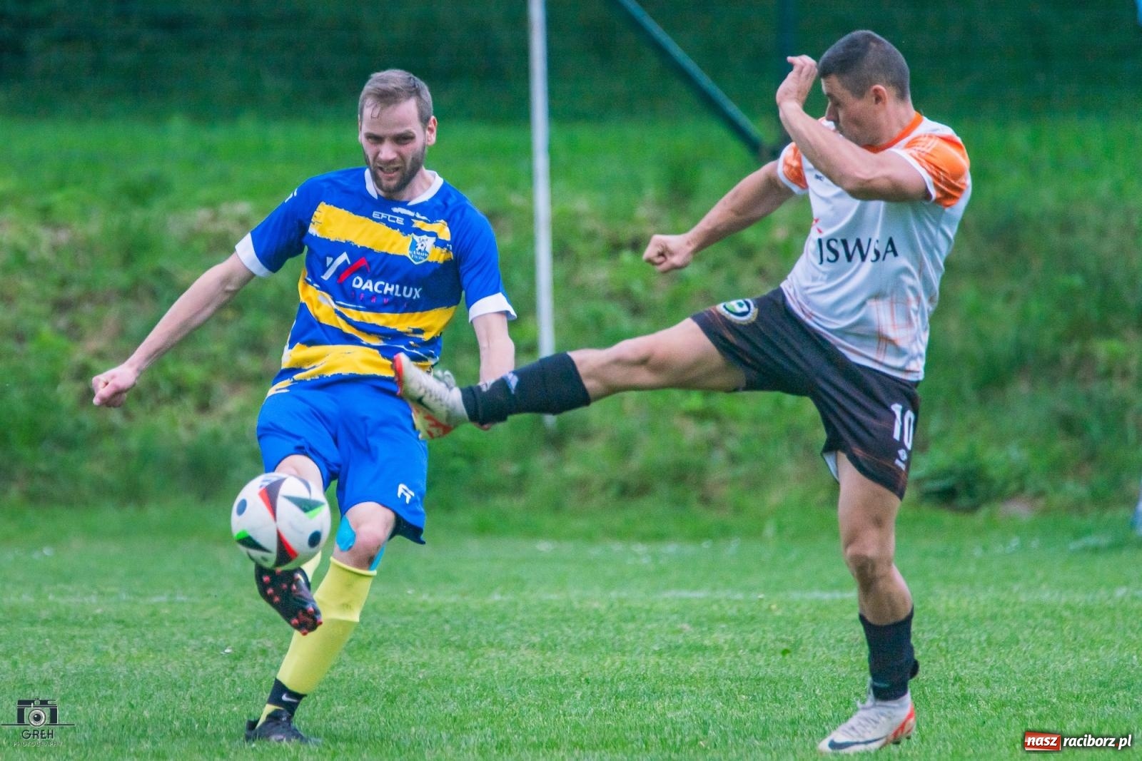Zdjęcie w galerii na portalu naszraciborz.pl: Gamów – Buków: Strzelił Wilczek razy kilka [FOTO i WIDEO] wiadomości z regionu