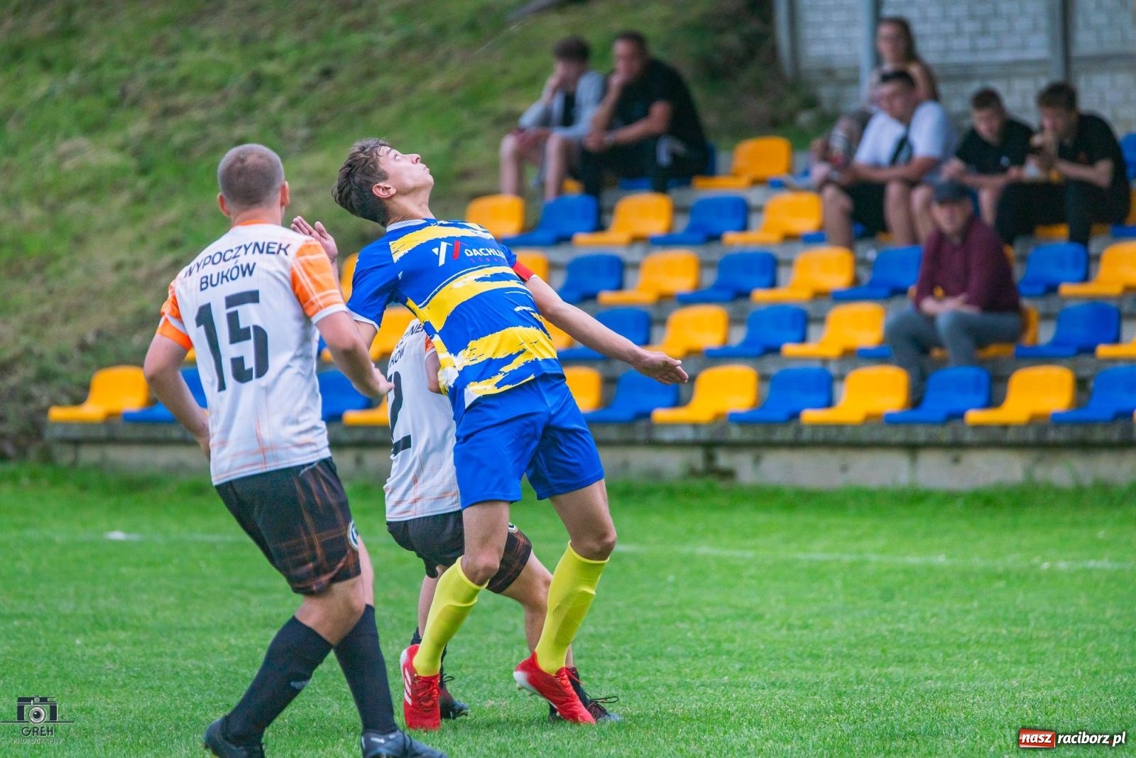 Zdjęcie w galerii na portalu naszraciborz.pl: Gamów – Buków: Strzelił Wilczek razy kilka [FOTO i WIDEO] wiadomości z regionu