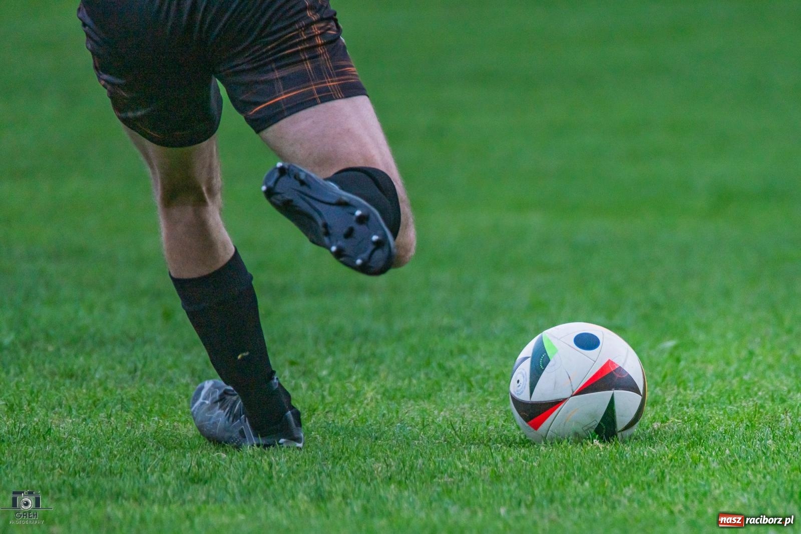 Zdjęcie w galerii na portalu naszraciborz.pl: Gamów – Buków: Strzelił Wilczek razy kilka [FOTO i WIDEO] wiadomości z regionu