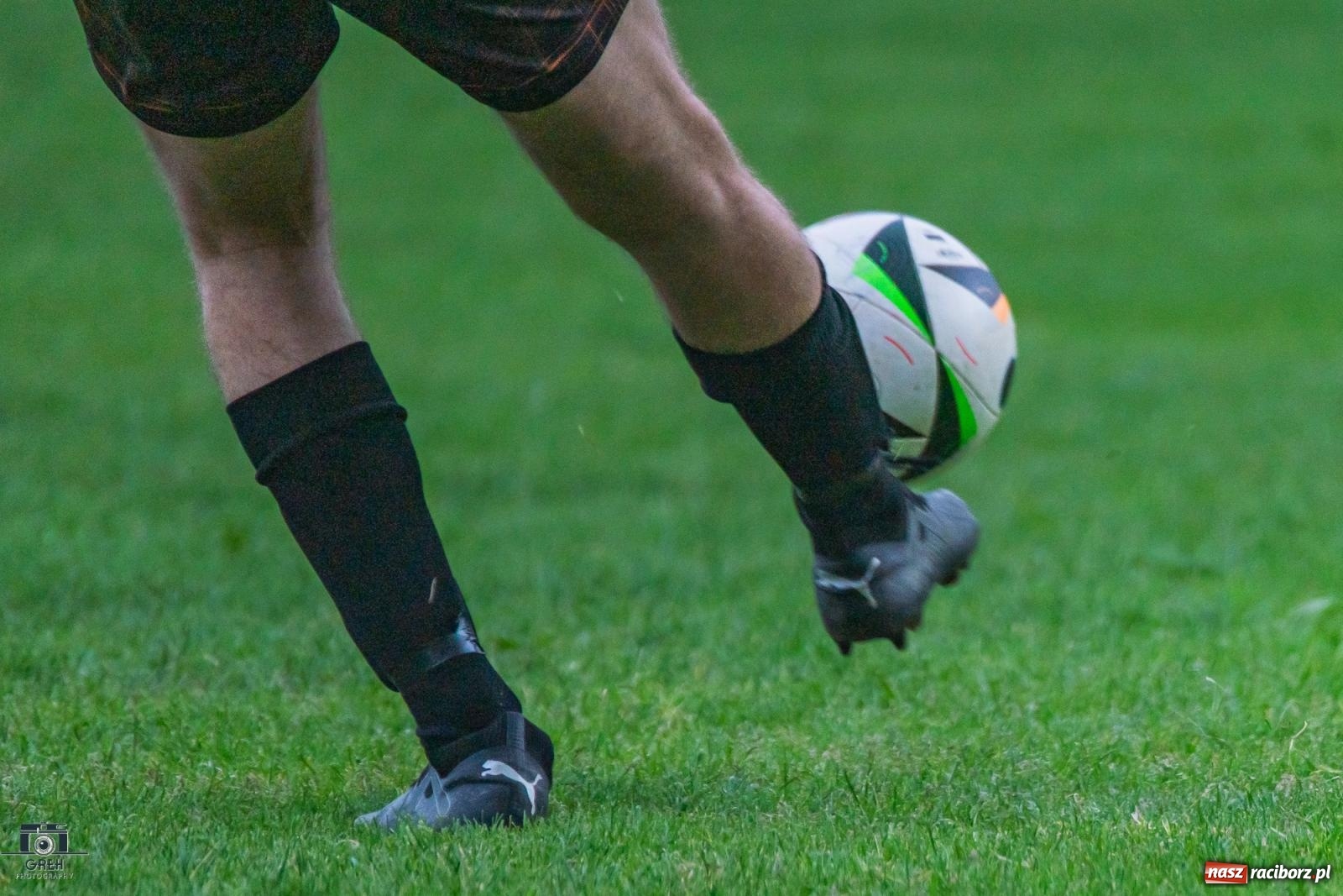 Zdjęcie w galerii na portalu naszraciborz.pl: Gamów – Buków: Strzelił Wilczek razy kilka [FOTO i WIDEO] wiadomości z regionu