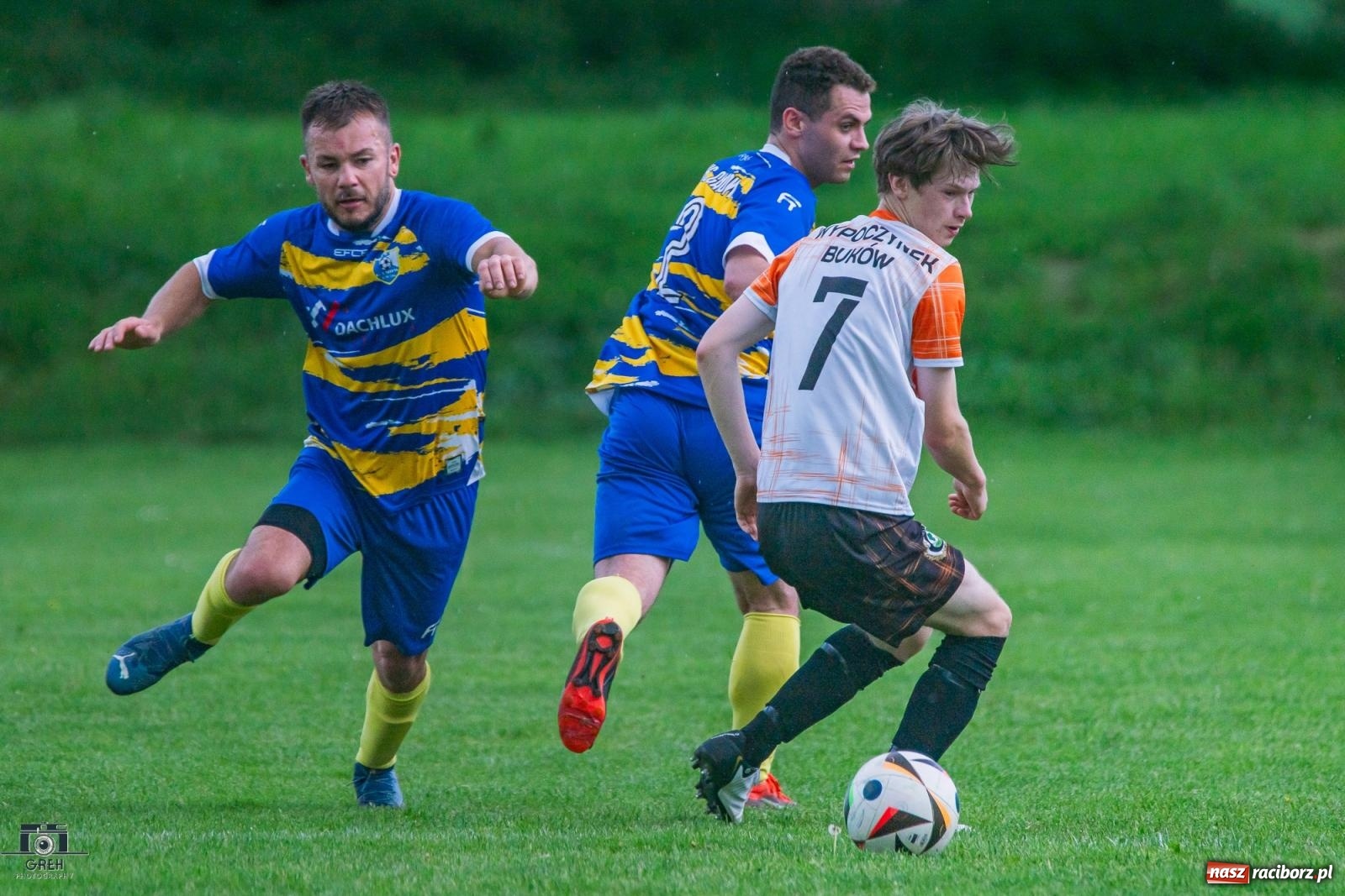 Zdjęcie w galerii na portalu naszraciborz.pl: Gamów – Buków: Strzelił Wilczek razy kilka [FOTO i WIDEO] wiadomości z regionu