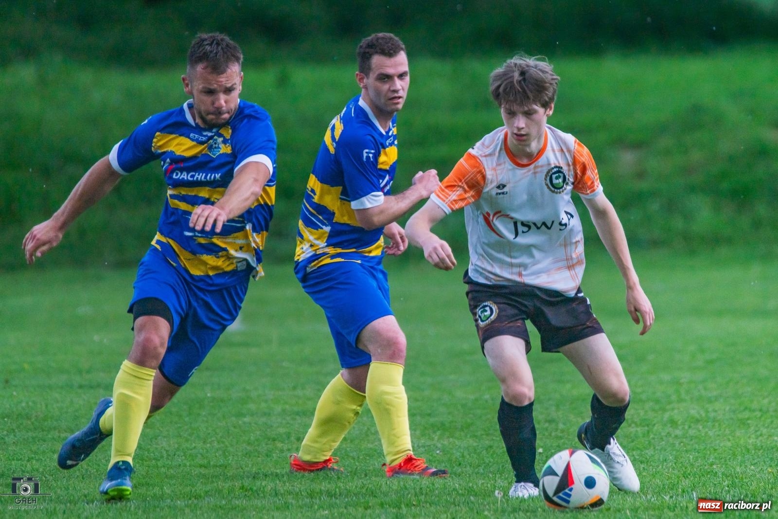 Zdjęcie w galerii na portalu naszraciborz.pl: Gamów – Buków: Strzelił Wilczek razy kilka [FOTO i WIDEO] wiadomości z regionu