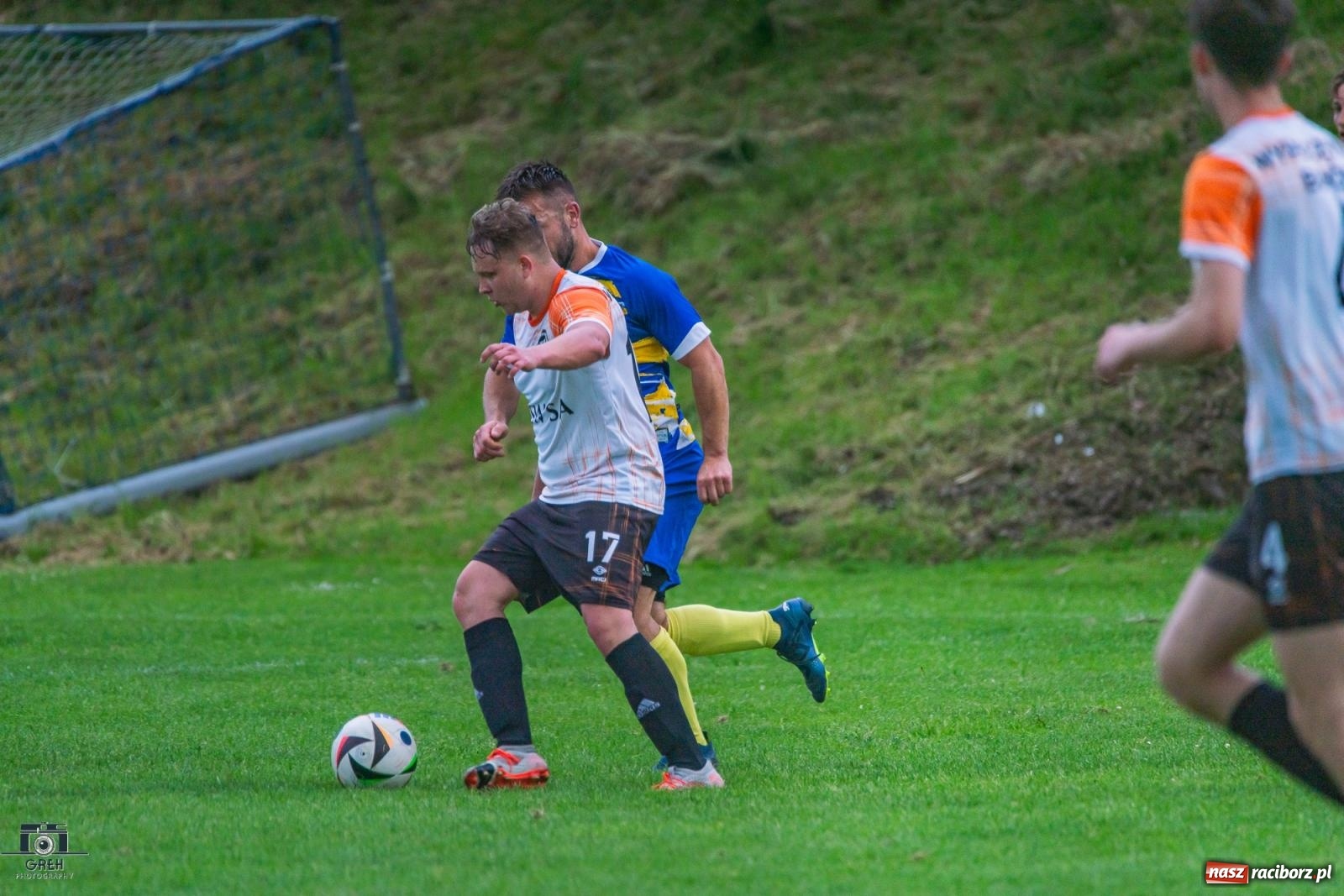 Zdjęcie w galerii na portalu naszraciborz.pl: Gamów – Buków: Strzelił Wilczek razy kilka [FOTO i WIDEO] wiadomości z regionu