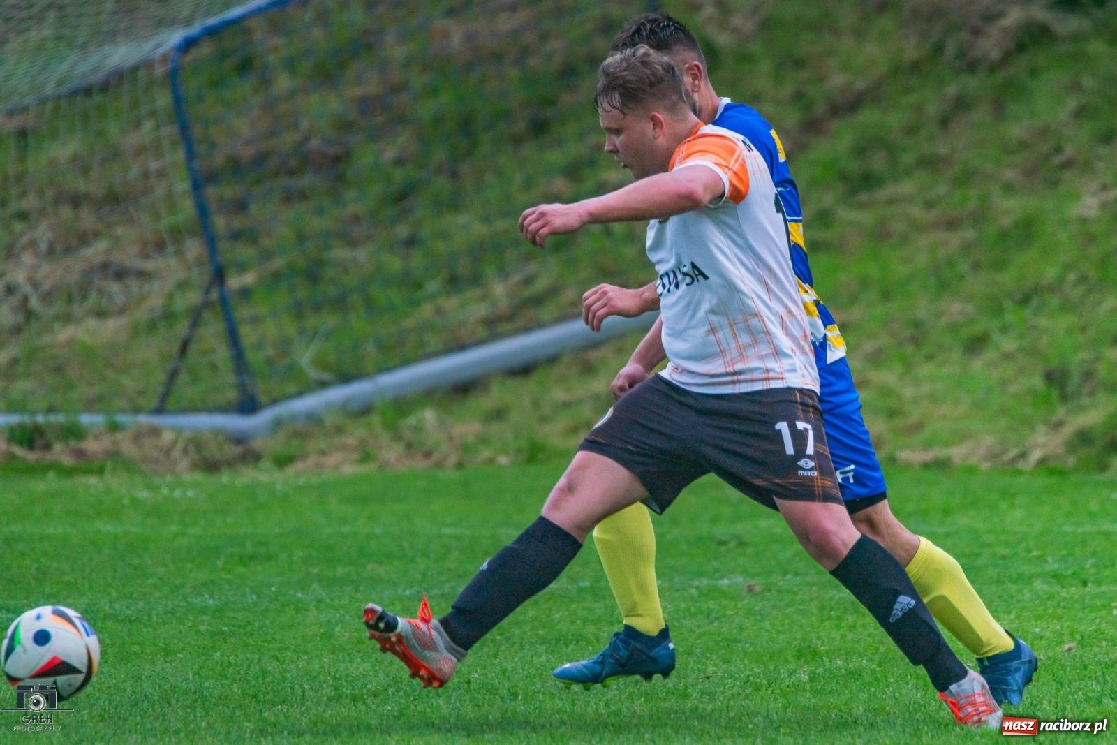 Zdjęcie w galerii na portalu naszraciborz.pl: Gamów – Buków: Strzelił Wilczek razy kilka [FOTO i WIDEO] wiadomości z regionu