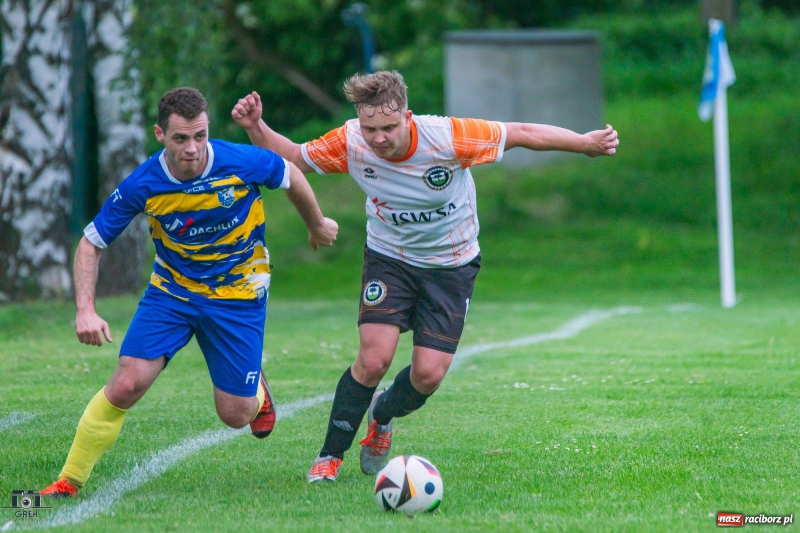 Zdjęcie w galerii na portalu naszraciborz.pl: Gamów – Buków: Strzelił Wilczek razy kilka [FOTO i WIDEO] wiadomości z regionu