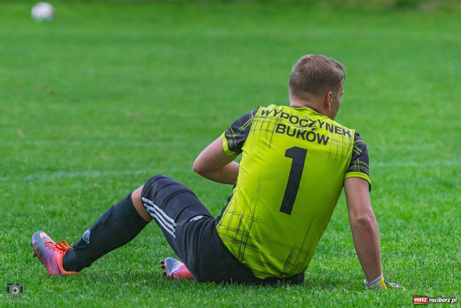 Zdjęcie w galerii na portalu naszraciborz.pl: Gamów – Buków: Strzelił Wilczek razy kilka [FOTO i WIDEO] wiadomości z regionu