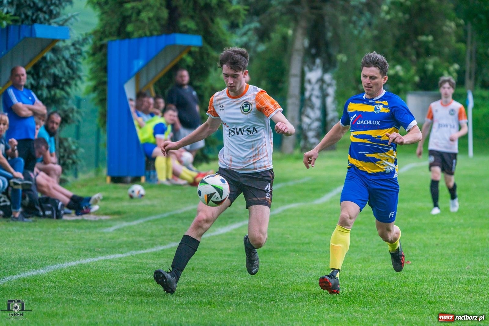 Zdjęcie w galerii na portalu naszraciborz.pl: Gamów – Buków: Strzelił Wilczek razy kilka [FOTO i WIDEO] wiadomości z regionu