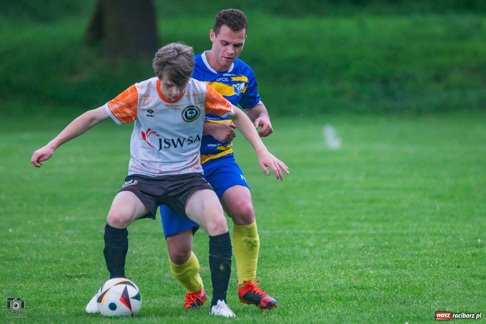 Zdjęcie w galerii na portalu naszraciborz.pl: Gamów – Buków: Strzelił Wilczek razy kilka [FOTO i WIDEO] wiadomości z regionu