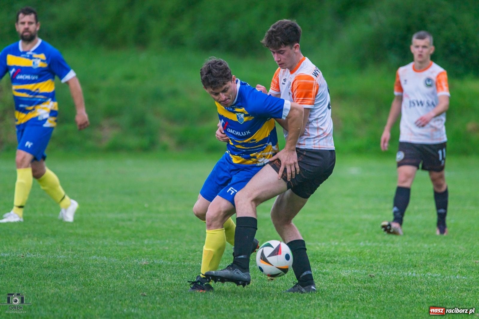 Zdjęcie w galerii na portalu naszraciborz.pl: Gamów – Buków: Strzelił Wilczek razy kilka [FOTO i WIDEO] wiadomości z regionu