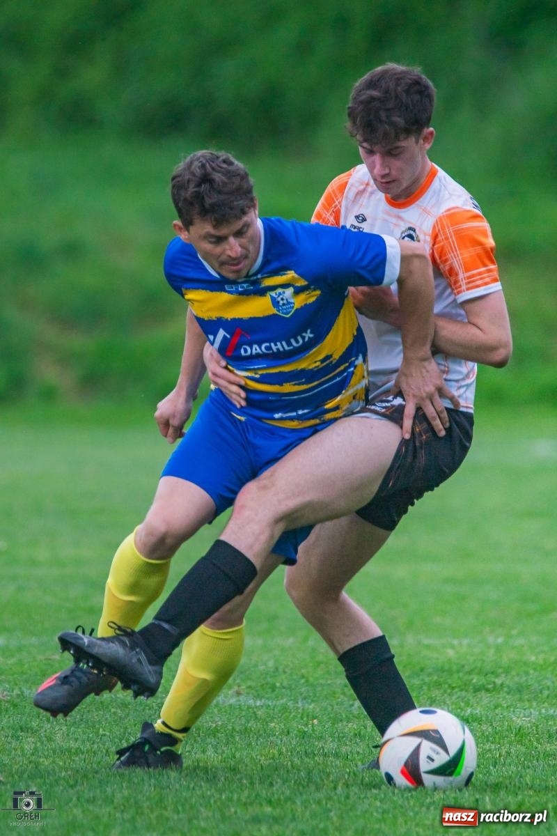 Zdjęcie w galerii na portalu naszraciborz.pl: Gamów – Buków: Strzelił Wilczek razy kilka [FOTO i WIDEO] wiadomości z regionu